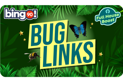 Bug Links game