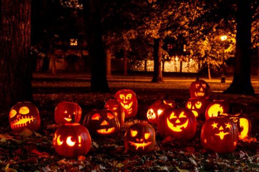 Top tips for carving a pumpkin