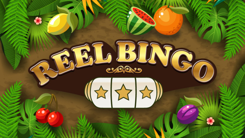 Reel bingo