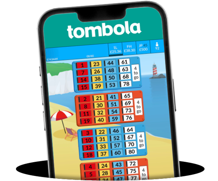 Example of bingo 80 game in mobile view