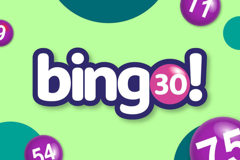 Bingo 30 game info page