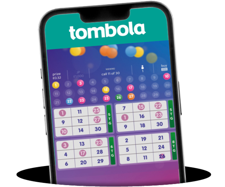 Example of bingo 30 game in mobile view