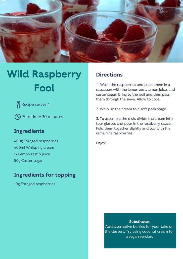 Wild Raspberry Fool